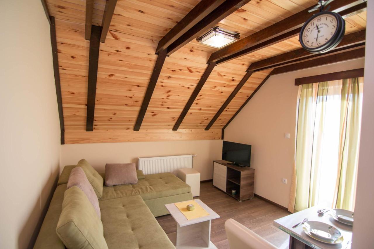 Apartmani Suncani Breg Tara Mitrovac Extérieur photo
