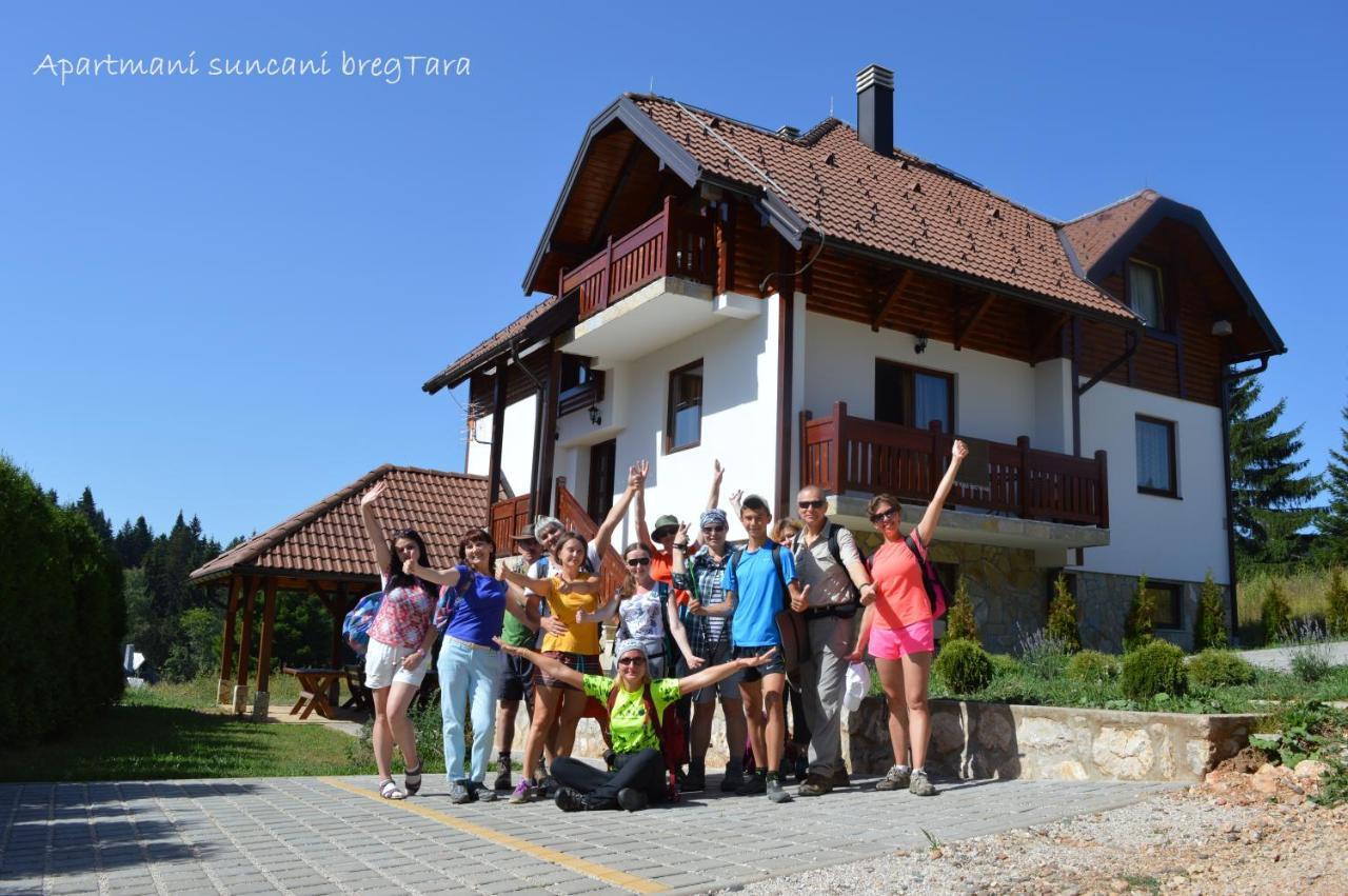 Apartmani Suncani Breg Tara Mitrovac Extérieur photo
