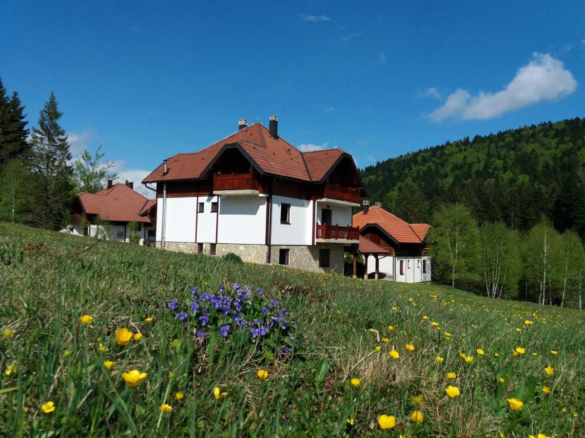 Apartmani Suncani Breg Tara Mitrovac Extérieur photo